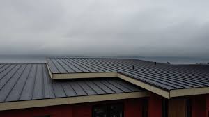 Fast & Reliable Emergency Roof Repairs in Robesonia, PA